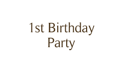 1st Birthday Party